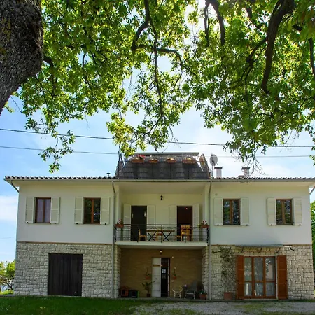 4 Bedroom Lovely In Apartment *